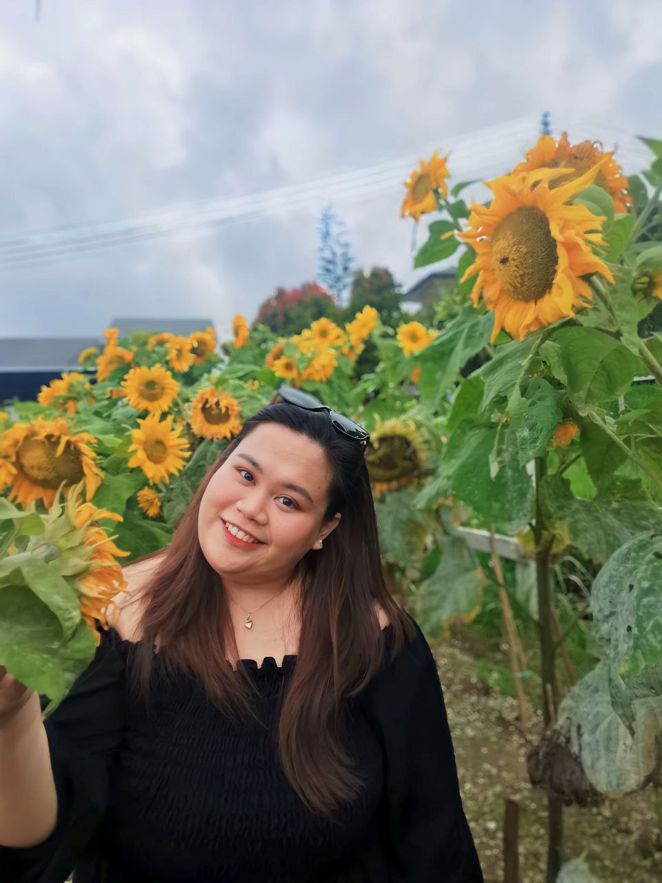 Stepheniey Anak Joe Frankline — Assistant Quantity Surveyors at Etika Hijau Sdn. Bhd.